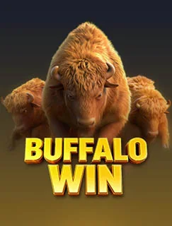 Buffalo Win thumbnail